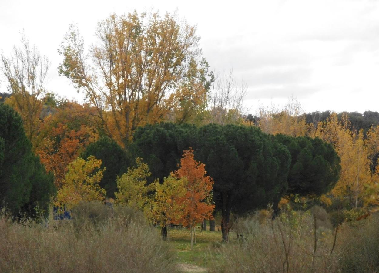 Apartamentos "Casa Rural De Aldea" Aldea del Fresno エクステリア 写真